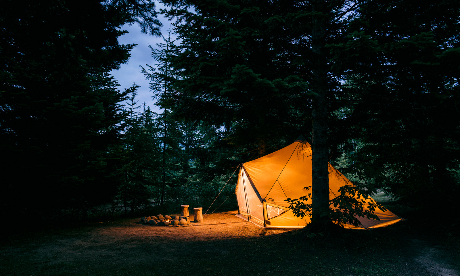 サバティカル・モーニンググローリーTC / SABBATICAL MORNING GLORY TC 購入！ | camp-willow.com